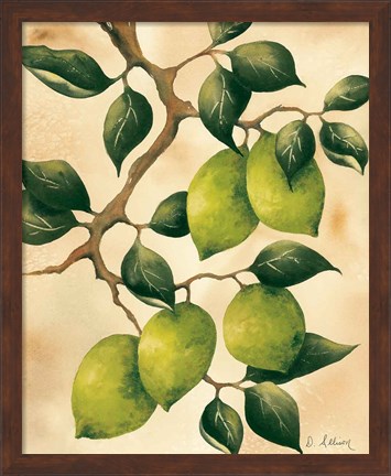 Framed Italian Harvest - Limes Print