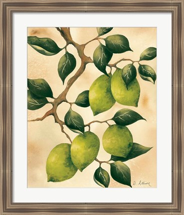 Framed Italian Harvest - Limes Print