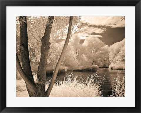 Framed Lakefront View I Print