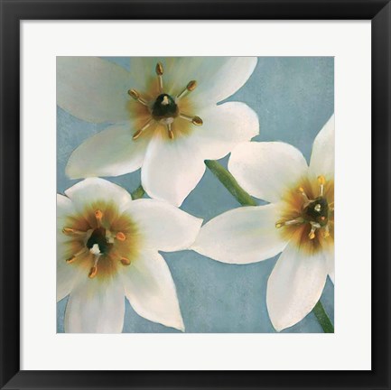 Framed Lily Parfait I Print