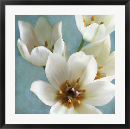 Framed Lily Parfait II Print