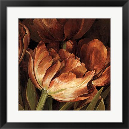 Framed Color Harmony II Print