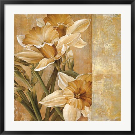 Framed Champagne Daffodils I Print