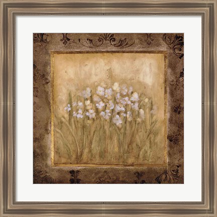 Framed Narcissus Print