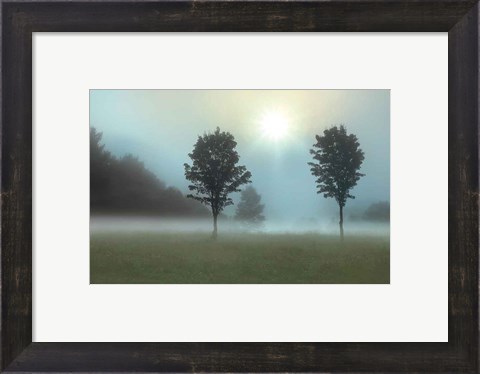 Framed Two Tress &amp; Sunburst Print