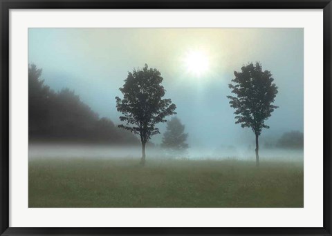 Framed Two Tress &amp; Sunburst Print