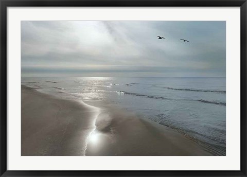 Framed Beach Flight Print