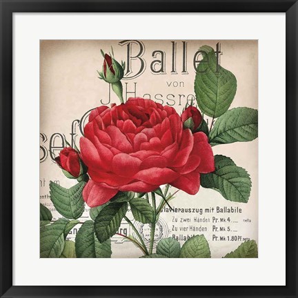 Framed Scent of a Rose I Print