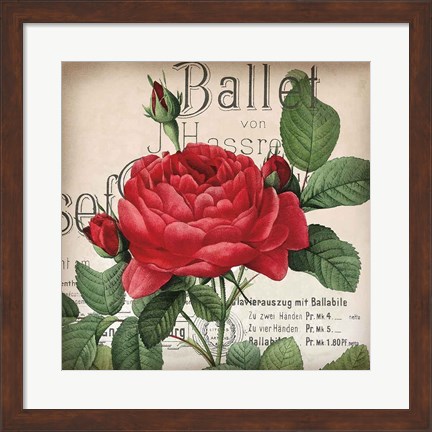 Framed Scent of a Rose I Print