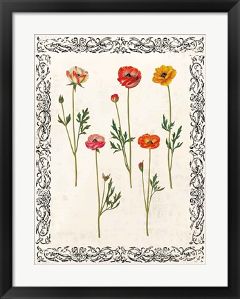 Framed Spring Blooms II Print