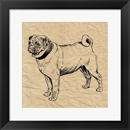 Framed Pug Print