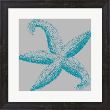 Framed Sea Stars I Print
