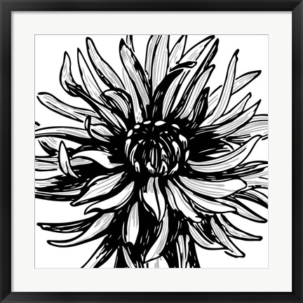 Framed Floral Outlines II Print