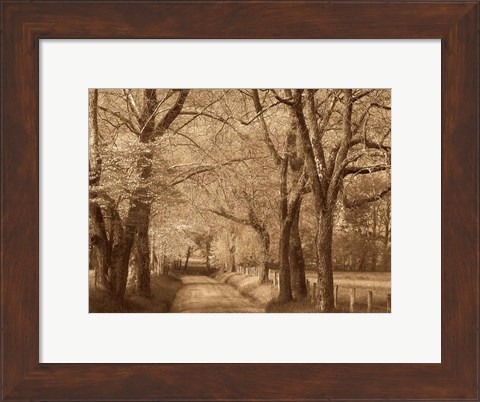 Framed Smokies Road Print