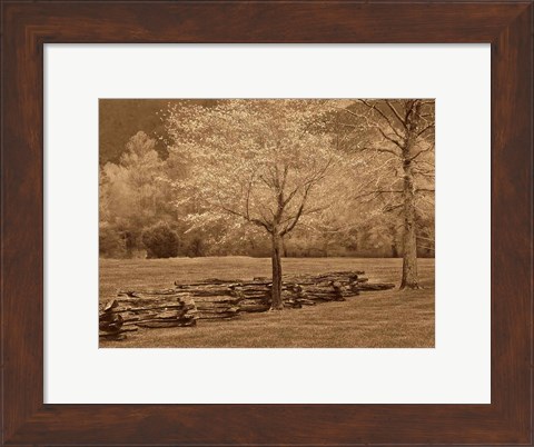 Framed Smokies Fence Print