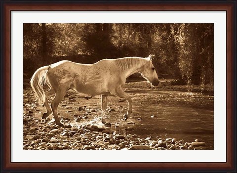 Framed Crossing Print