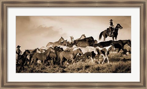 Framed Gathering the Herd Print