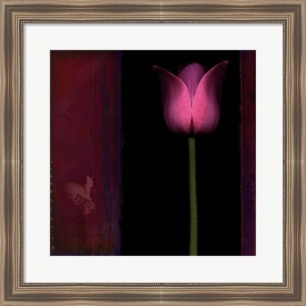 Framed Red Tulip I Print