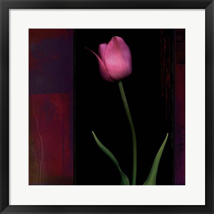 Framed Red Tulip II Print