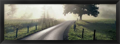 Framed Mountain Morning Glory Print