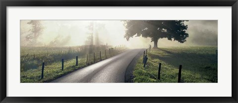 Framed Mountain Morning Glory Print