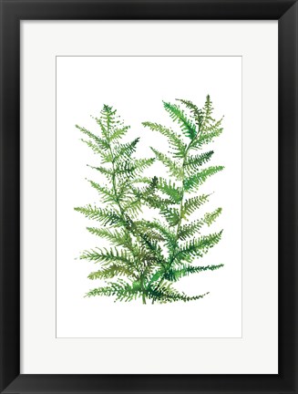 Framed Wild Greens II Print