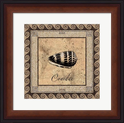 Framed Shell Works I Print