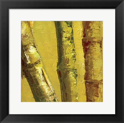 Framed Bamboo Columbia IV Print