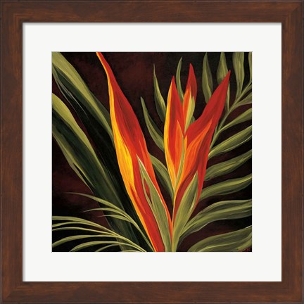 Framed Birds of Paradise II Print