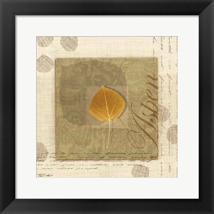 Framed Aspen Print