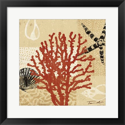 Framed Coral Impressions III Print