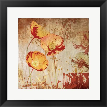 Framed Poppy Heat II Print