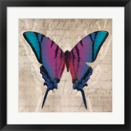 Framed Butterflies IV Print