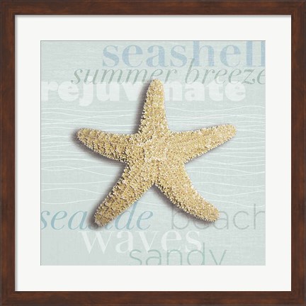 Framed Beach Collection II Print