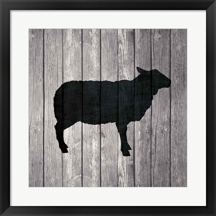 Framed Barn Sheep Print