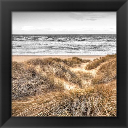 Framed Beach Dunes Print