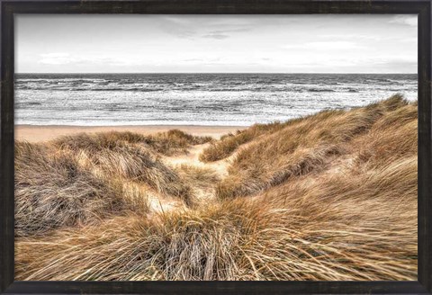 Framed Beach Dunes Print