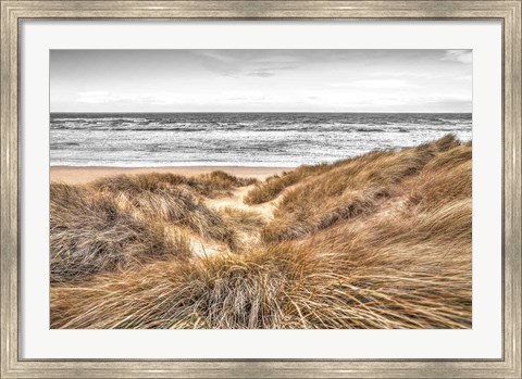 Framed Beach Dunes Print