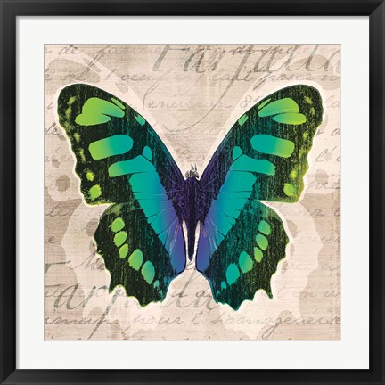 Framed Butterflies II Print