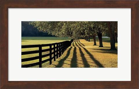 Framed Chasing Shadows Print