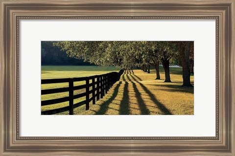 Framed Chasing Shadows Print