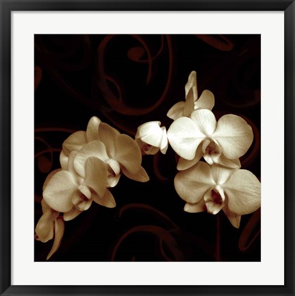 Framed Elegance Print