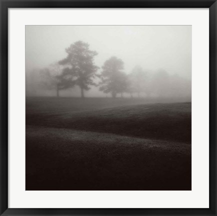 Framed Fog Tree Study II Print