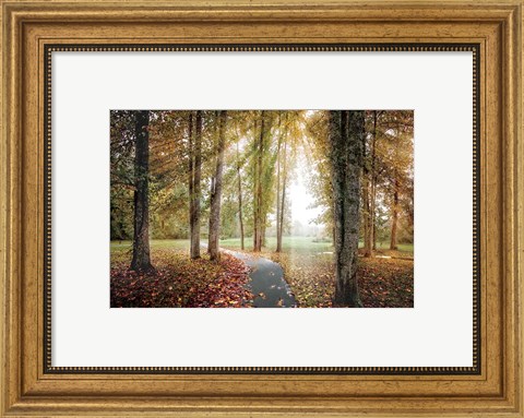 Framed Following The Light Print