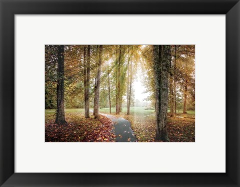 Framed Following The Light Print