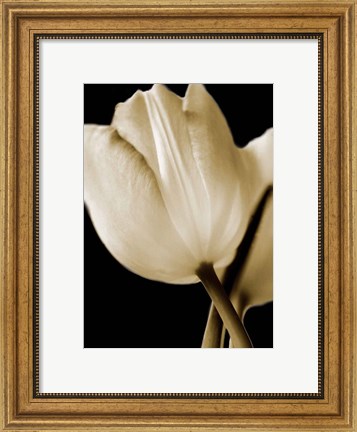 Framed Radiance I Print