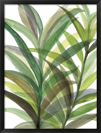 Framed Tropical Greens II Print