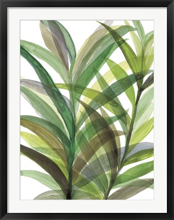 Framed Tropical Greens II Print