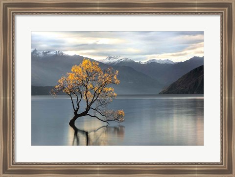 Framed Undisturbed Print