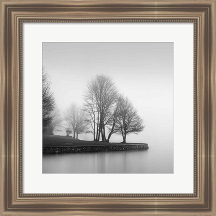 Framed Fog and Trees at Dusk Print